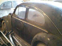 beetle