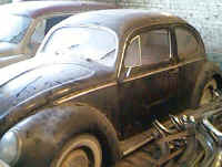 beetle