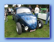 Bug without wings