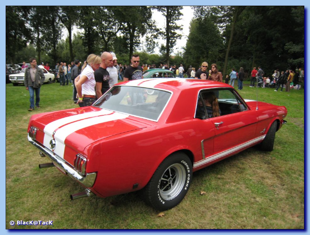 Mustang